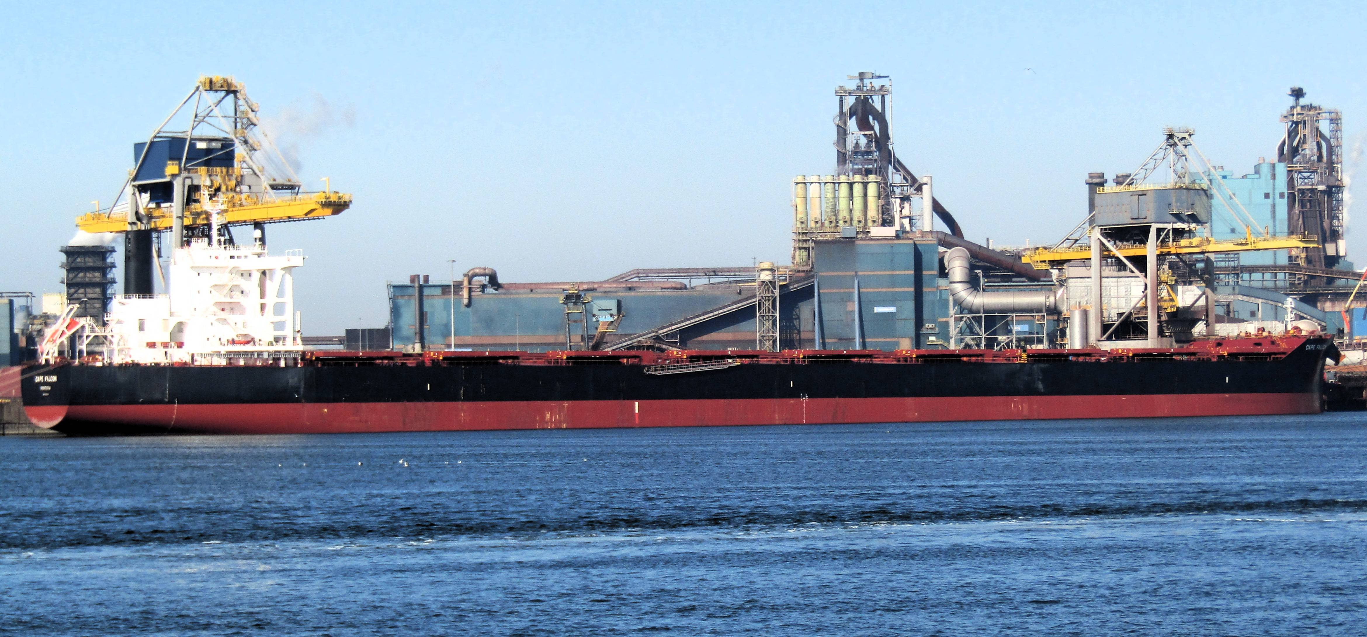 CAPE FALCON 